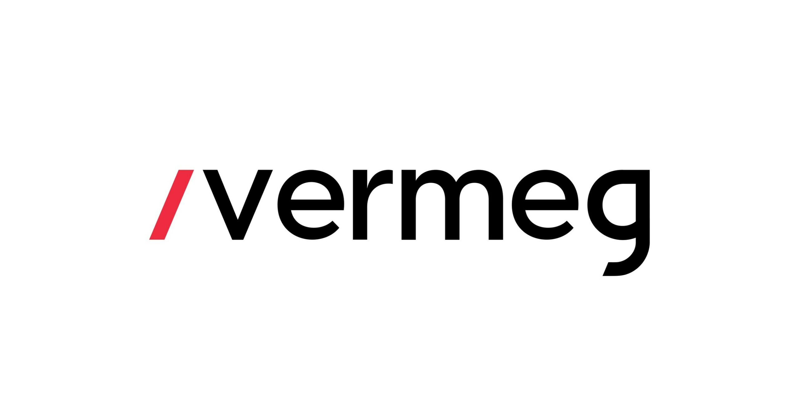 VERMEG LOGO